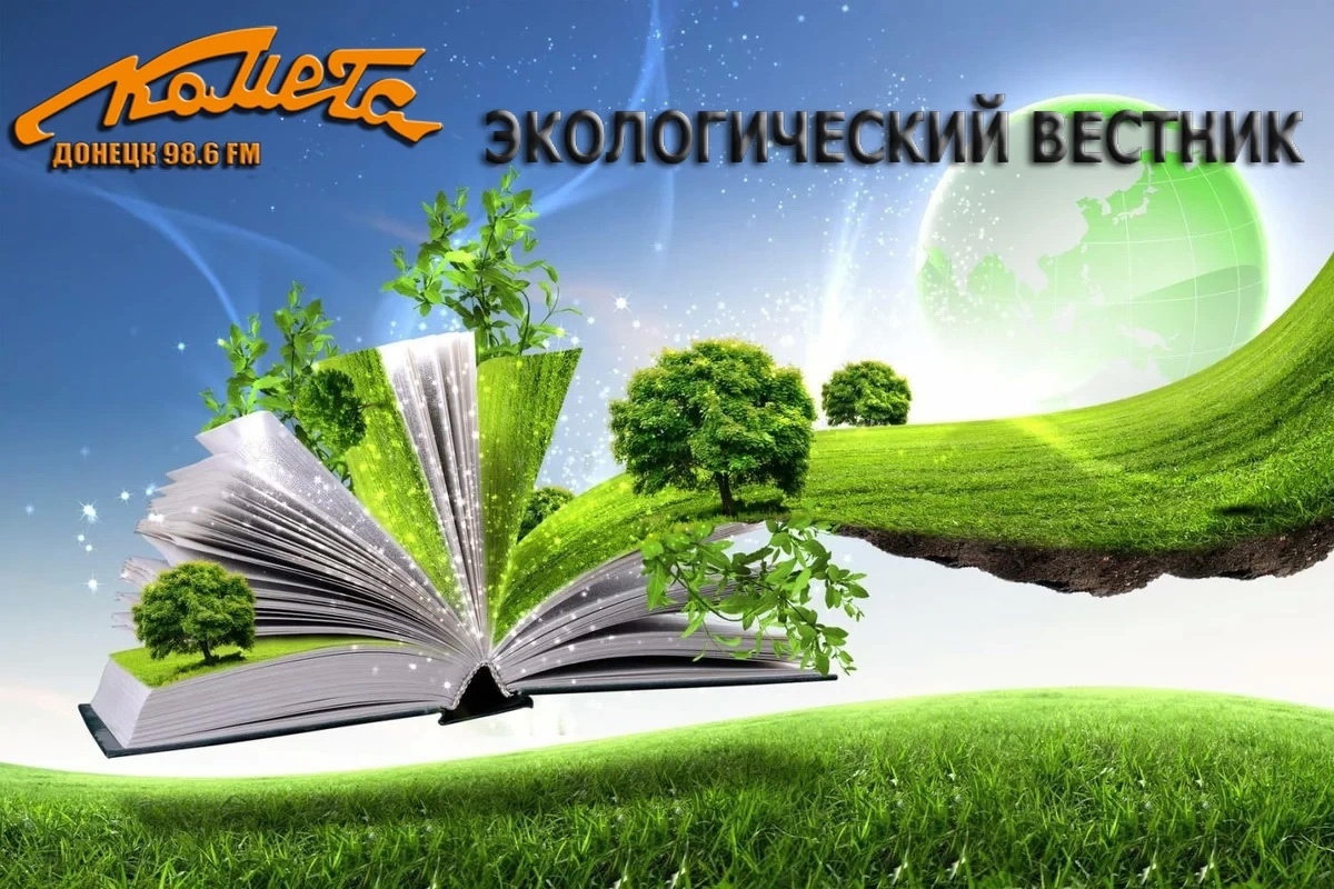 В новом выпуске радиопередачи «Экологический вестник» обсуждали темы докладов научных конференций, прошедших на биологическом факультете